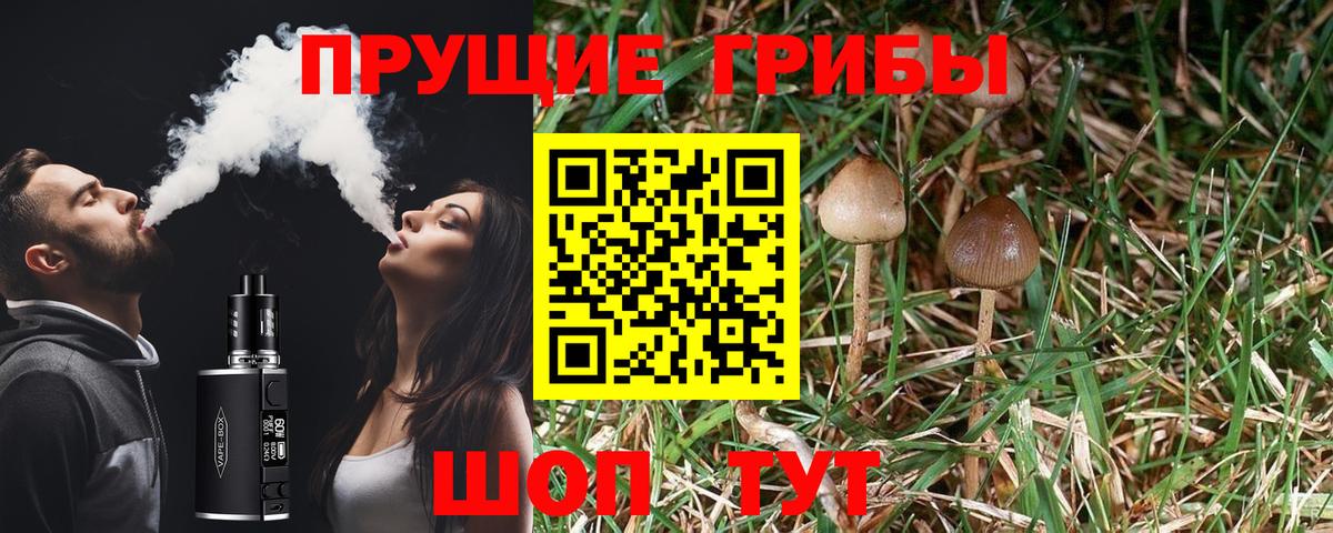 Псилоцибиновые грибы GOLDEN TEACHER  Псилоцибиновые грибы мухоморы  Изобильный  Вход с VPN 