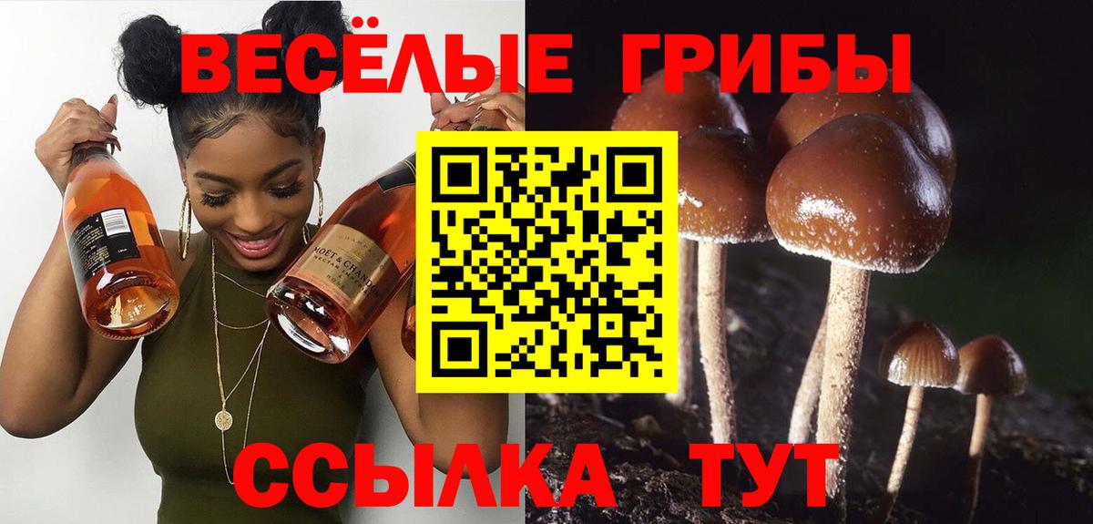Alpha PVP СОЛЬ   COCAIN  МЕТ  Где продают наркотики?  ГАШИШ  Вход с VPN  Мефедрон кристаллы  Изобильный  МАРИХУАНА  NBOMe 